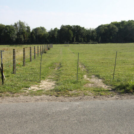 EME00027778-1AC92019-paysage-450x450.jpg