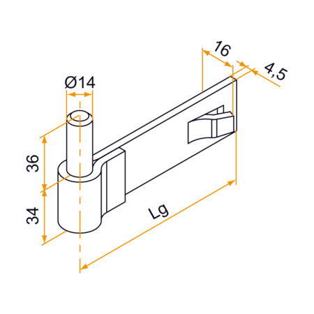 EME00028391-599120-450x450.jpg